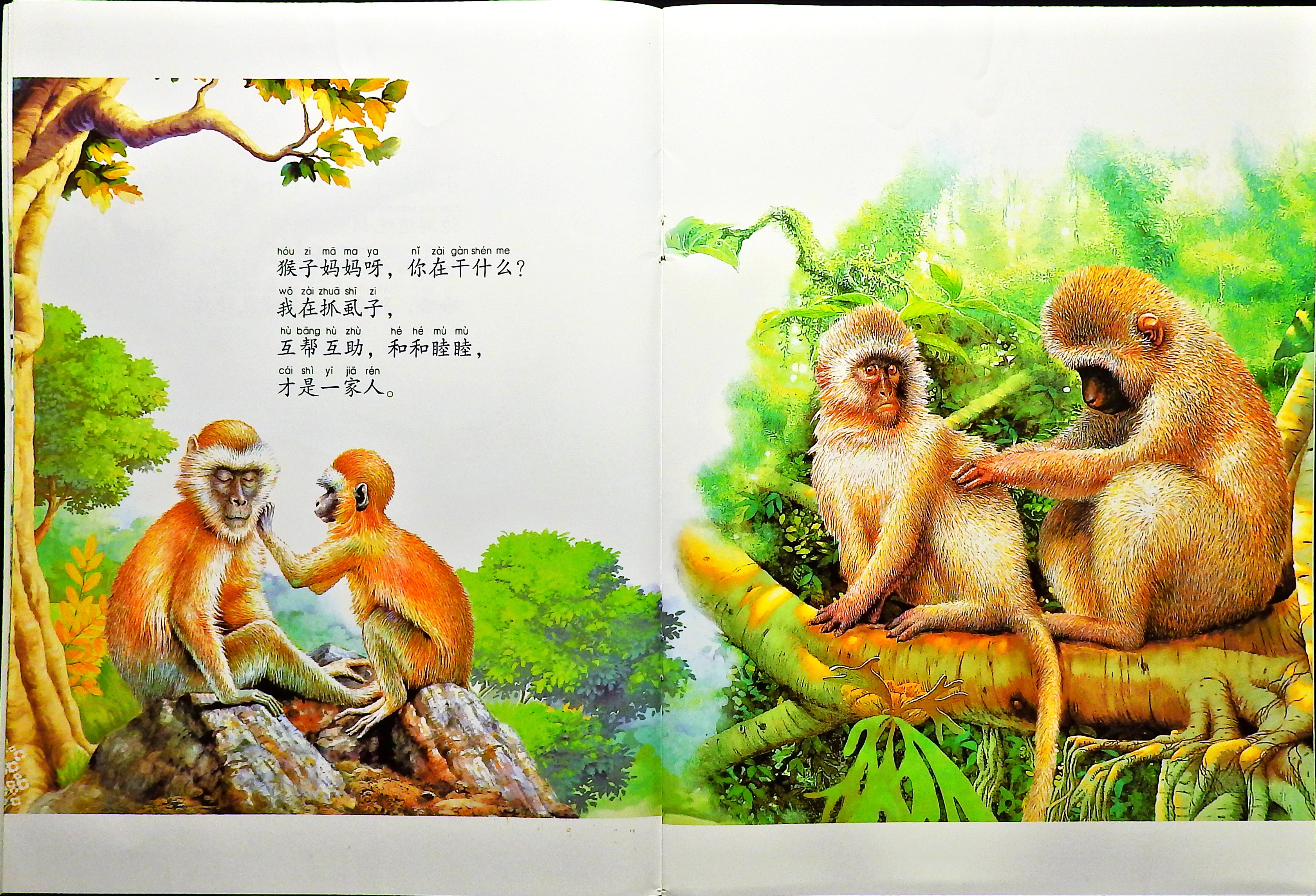 它们在干什么？ (06),绘本,绘本故事,绘本阅读,故事书,童书,图画书,课外阅读